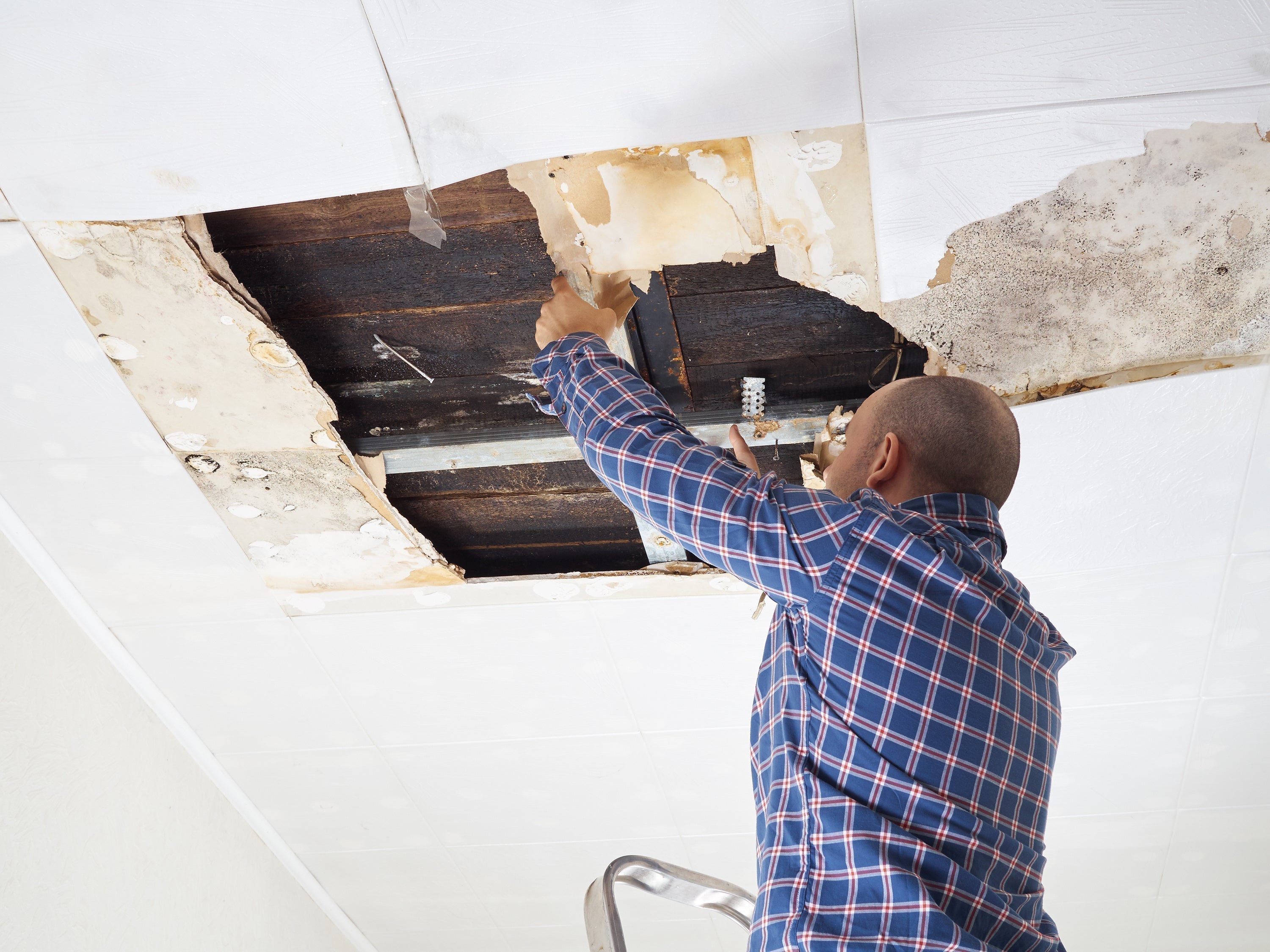 What Causes Mold Growth Indoors?